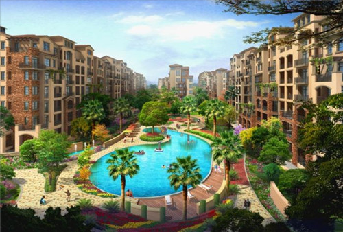 年轻的鸡即鲍汁焖鸡