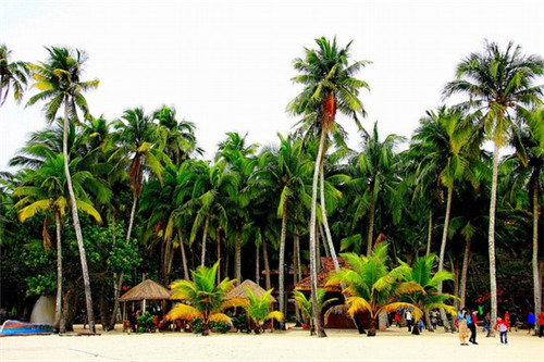 小火慢炖排骨饭