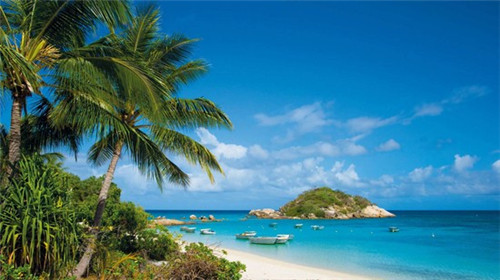 黑眼熊 BLACK-EYED BEAR寿司