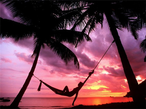 BLOOM.盛放维生素饮料