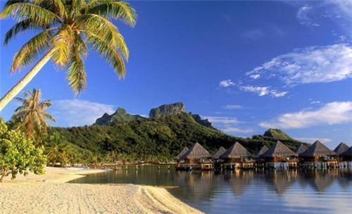 御禧贡茶加盟开店会亏吗，贡茶加盟连锁哪家靠谱