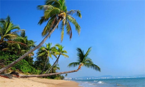 在南昌市加盟牛厨零食连锁有市场吗