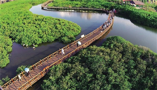 炸鸡店办轻餐饮还是重餐饮，炸鸡和轻食店创业哪个好