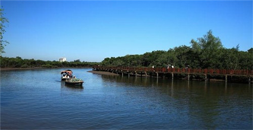 英伦果园bf是什么意思（英伦果园怎么登录）