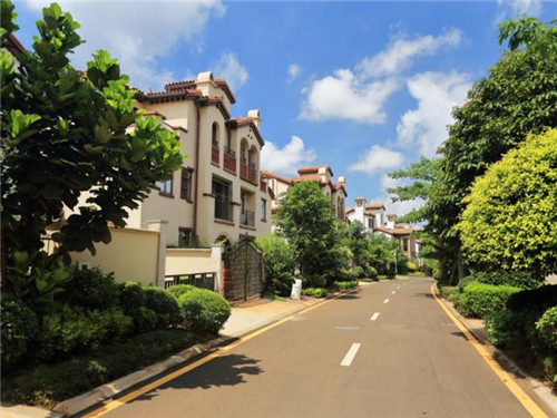 榴莲自助加盟费多少（榴莲自助多少钱一位）